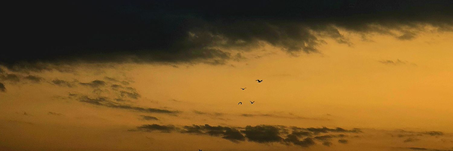 پروکسیما banner