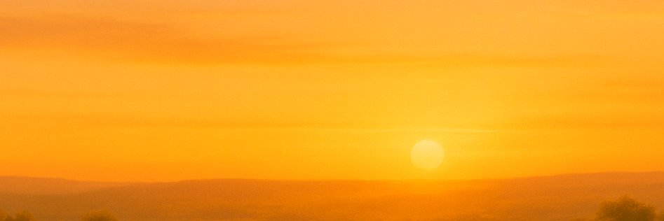 Furries For Good banner