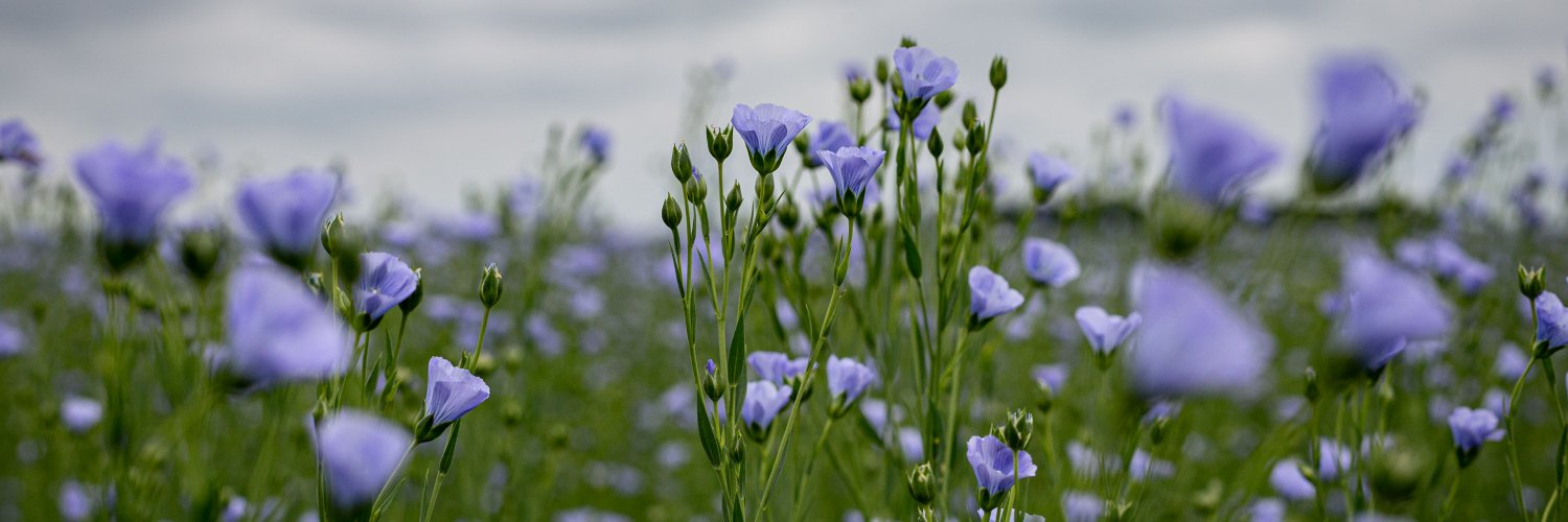Nadège PETIT 👩‍🌾's banner