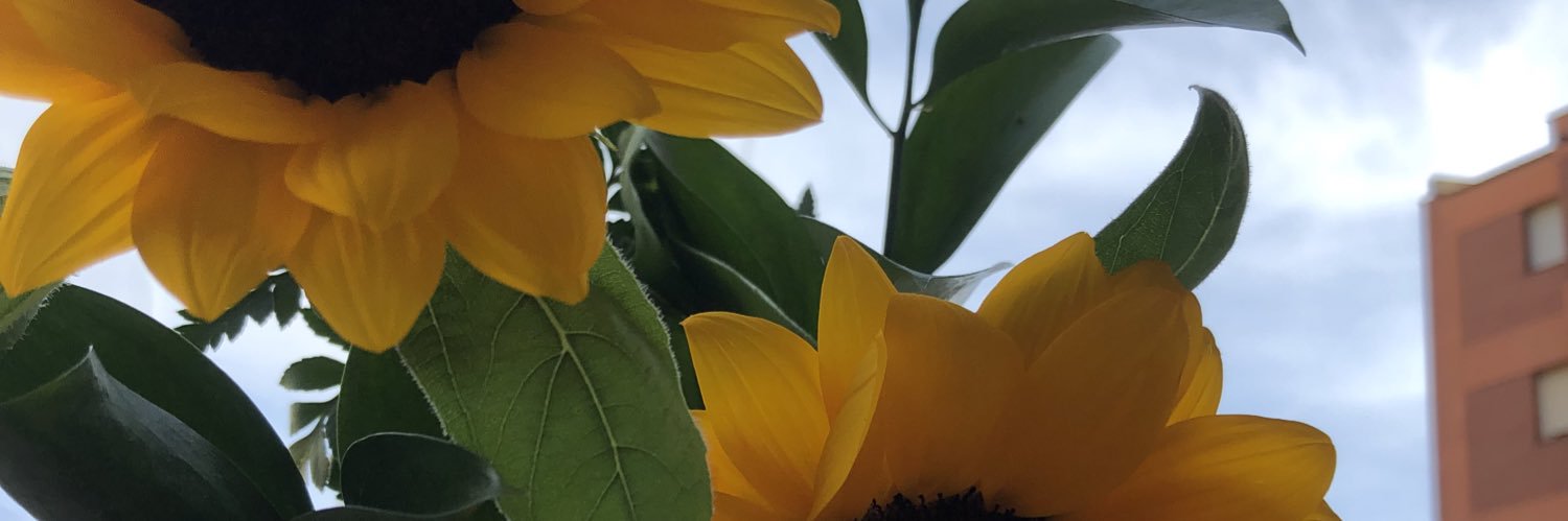estteel_'s profile banner image