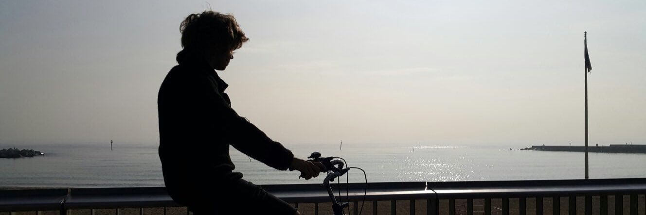 Franco Masini banner