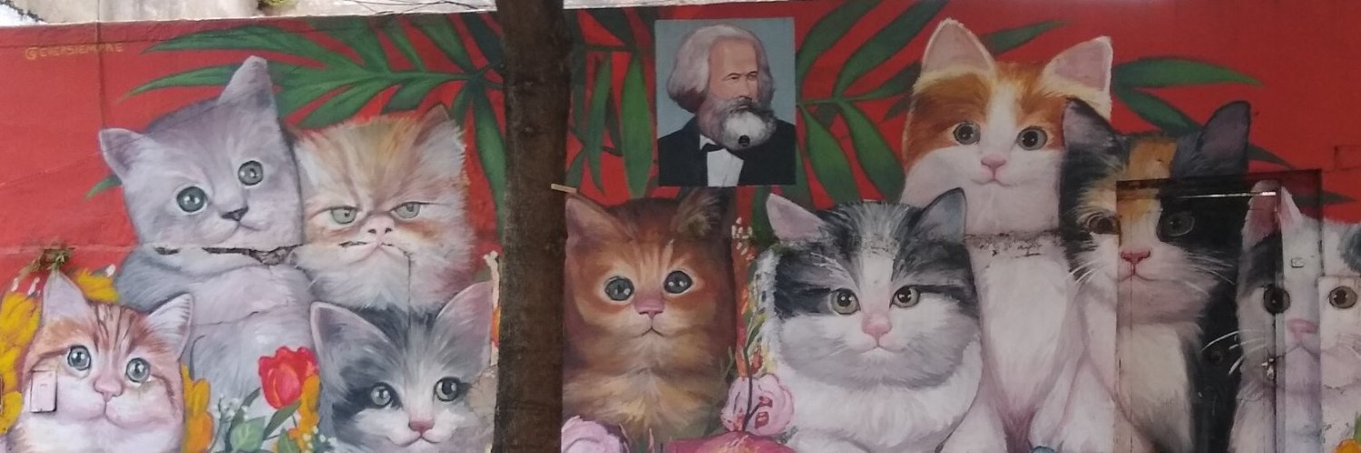 socialistadaAL's profile banner image