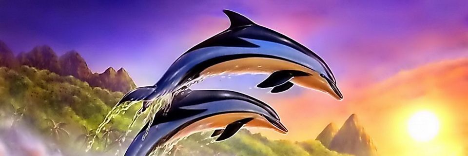 LuciiwPaz's profile banner image