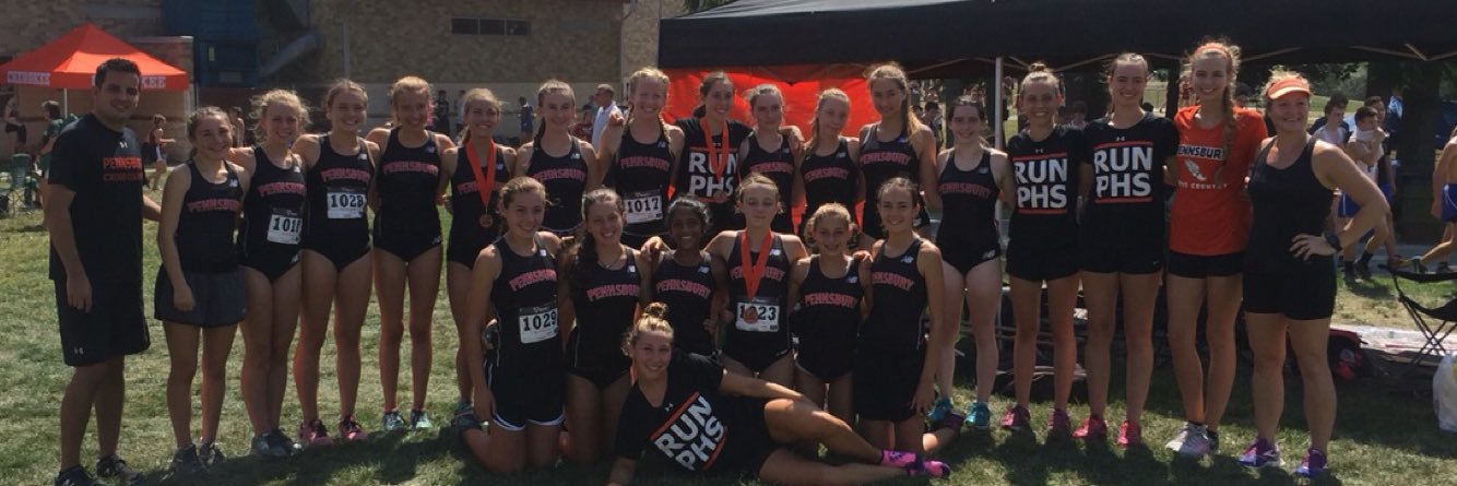 LadyFalcons_XC's profile banner image