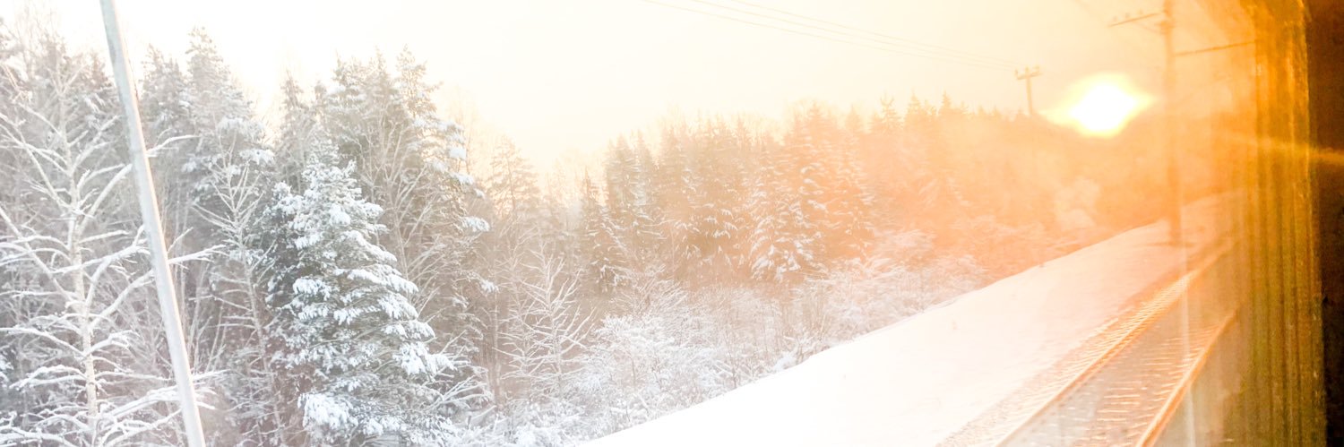 Romkalapa's profile banner image