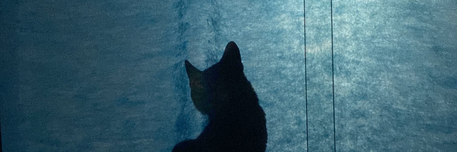 acarolsfs's profile banner image