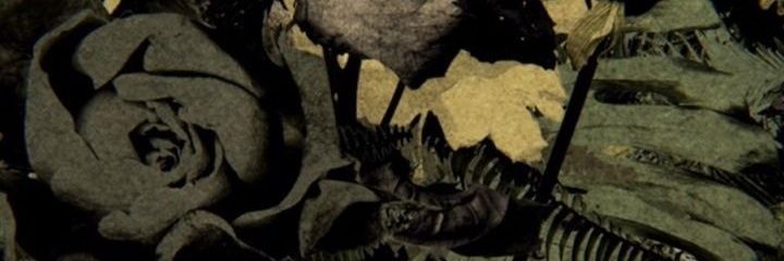 uriel_coutrix's profile banner image