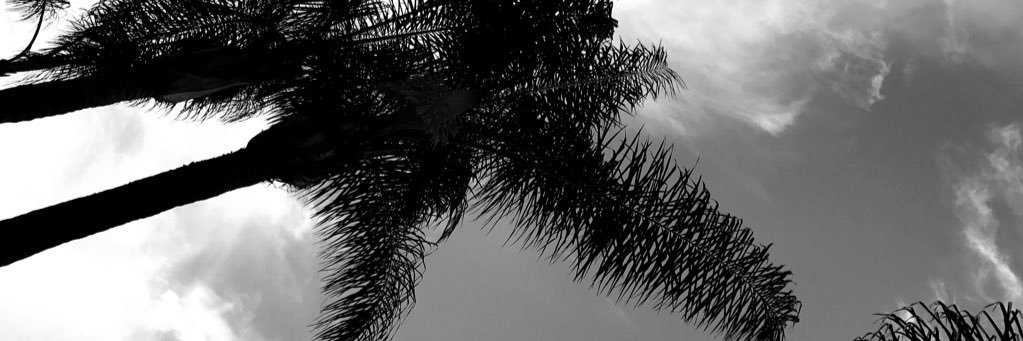 aveclouis's profile banner image