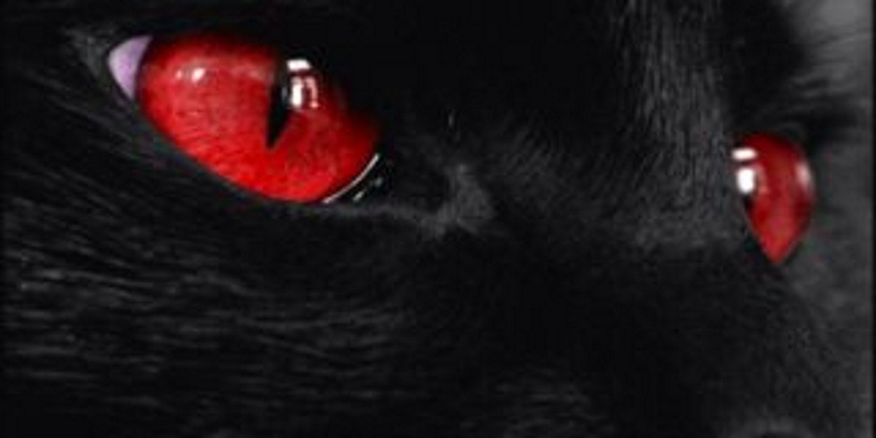 AbdurBoss's profile banner image