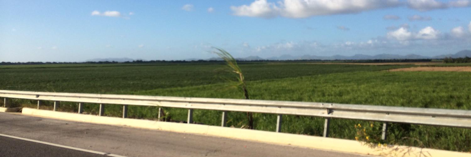 ortizalan's profile banner image