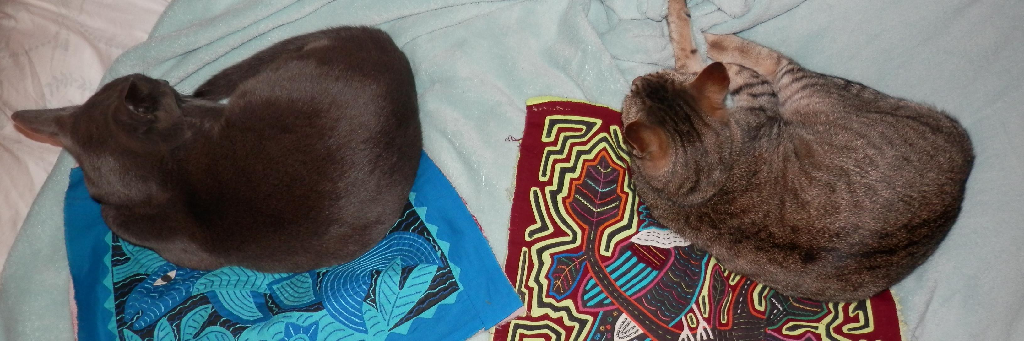 Dr Laura Lowe Forrest banner