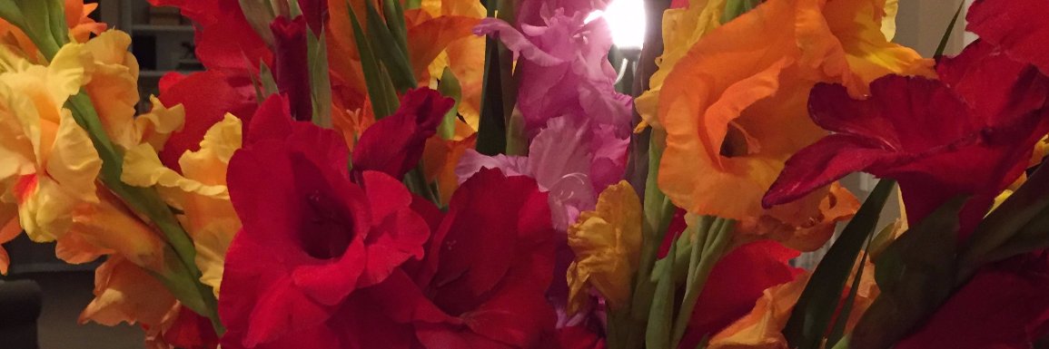 Julie Klausing banner