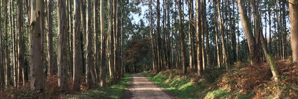 AlbertoGutalbal Profile Banner