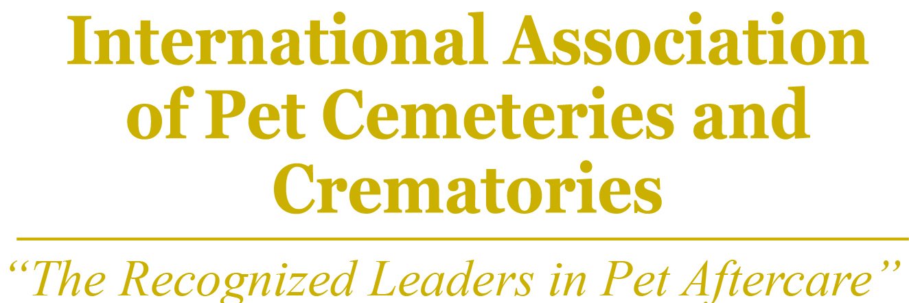 Donna Bethune banner