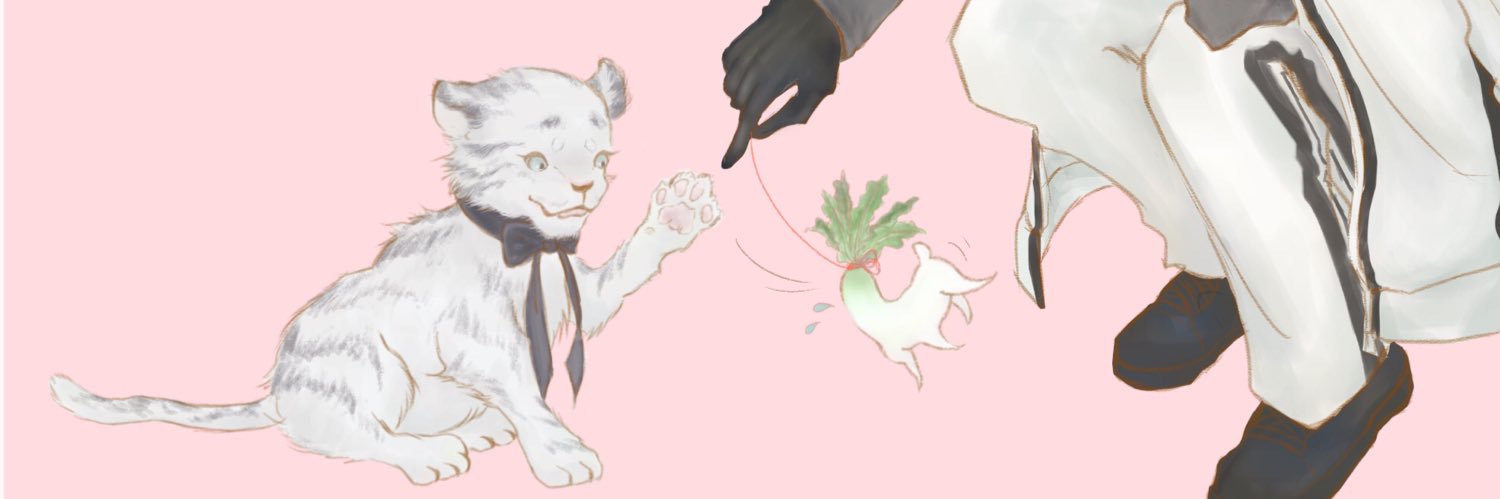 kaya_mirror's profile banner image
