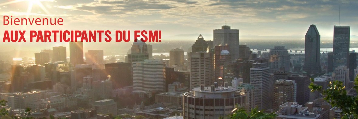 Forum Social Info banner