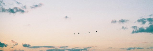 peeeeeeace_'s profile banner image