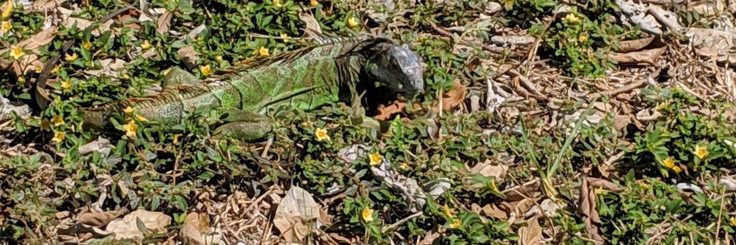 JD Is On The Road Again banner