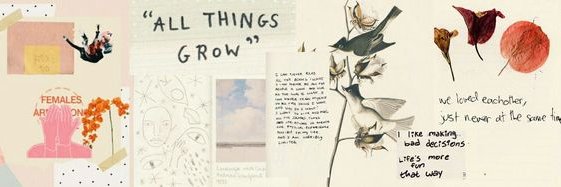 Kayla_H_18's profile banner image