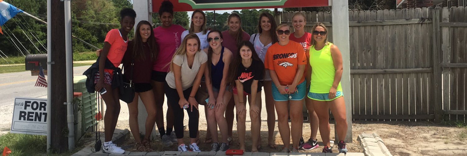 ddayvolleyball's profile banner image