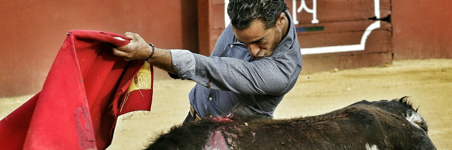 gallardotoros's profile banner image