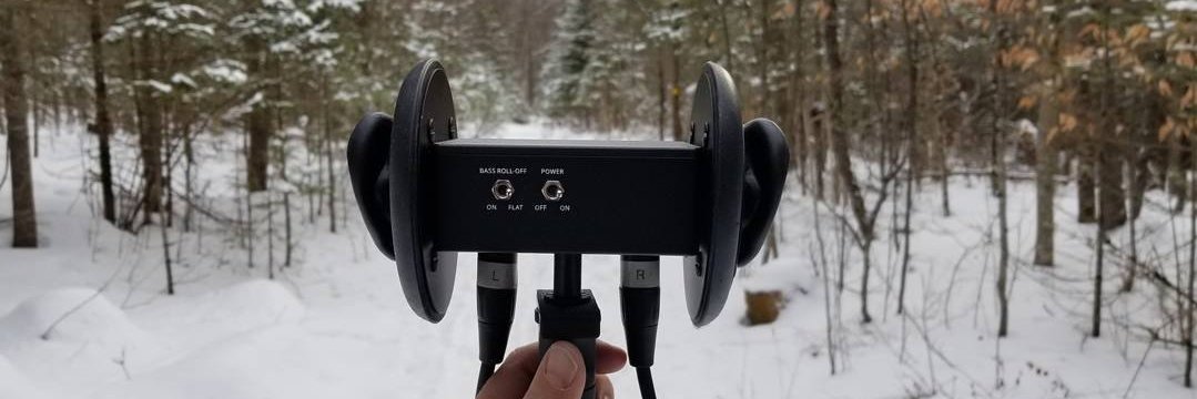 Travelear Inc. banner