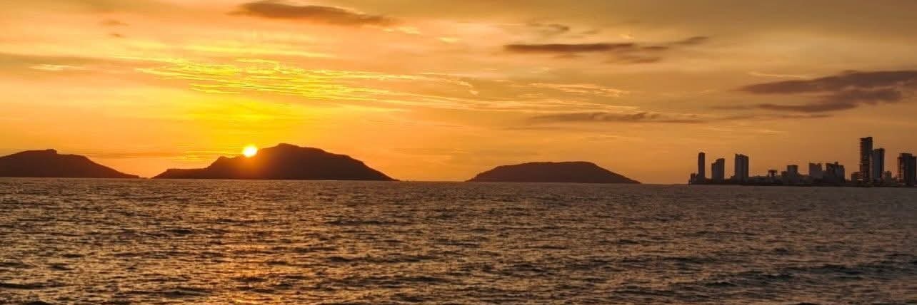 pato_single1224's profile banner image