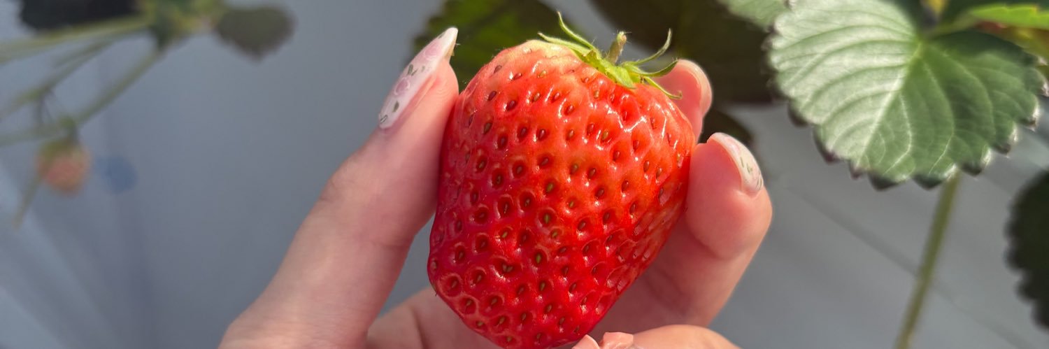 いちごき🍓 banner
