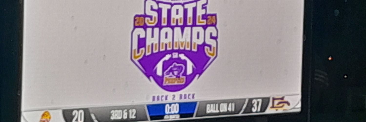 Purples on D93 banner