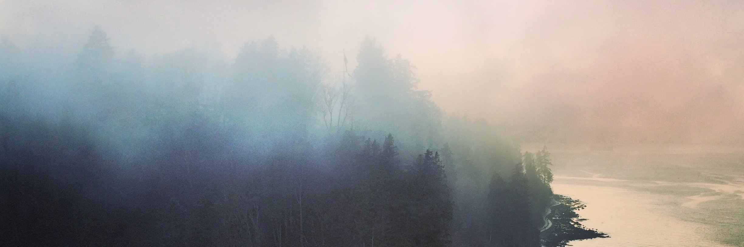 Anne-Marie Madden banner