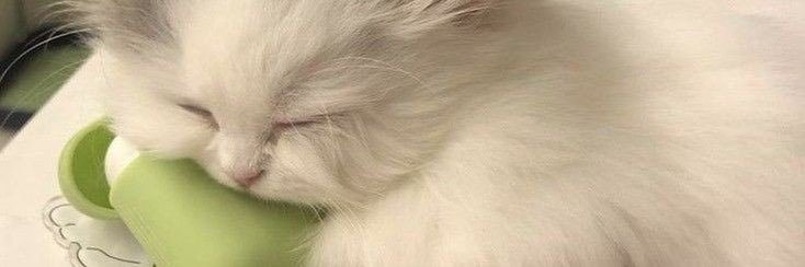 swtnrl's profile banner image