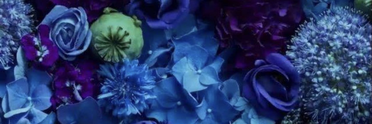 Queen_GMR's profile banner image