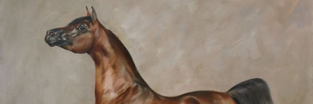 int503's profile banner image