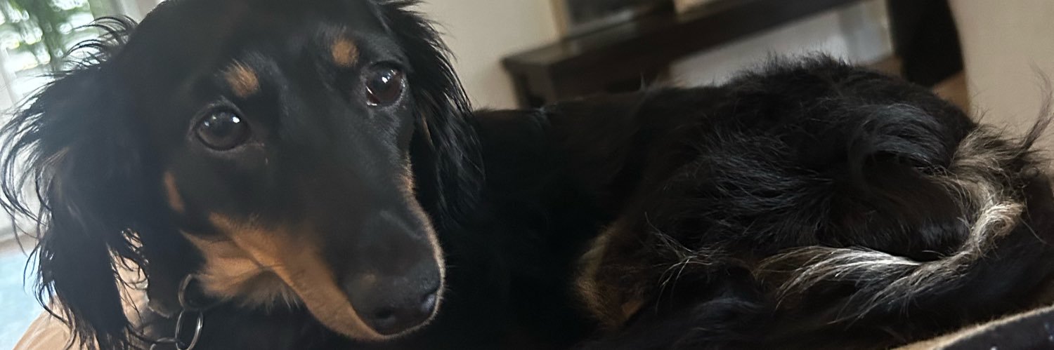 TheGiant's profile banner image