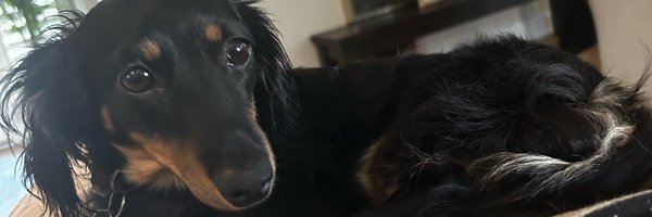 TheGiant Profile Banner