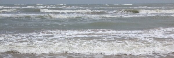 HaleyCurrant Profile Banner