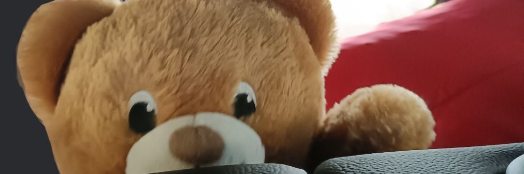 RealTurtleStorm's profile banner image