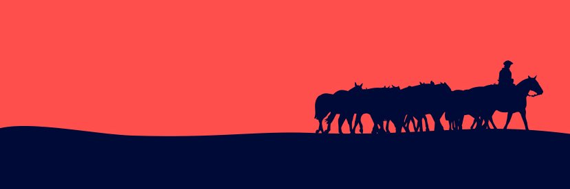 RadiosulNet's profile banner image
