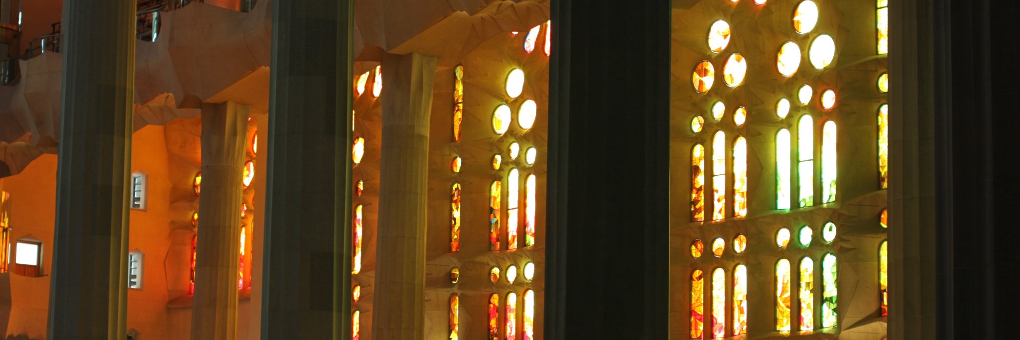 Peter Zellner banner