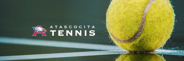 AHSTENNIS16 Profile Banner
