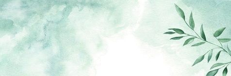 LillieMoonx's profile banner image