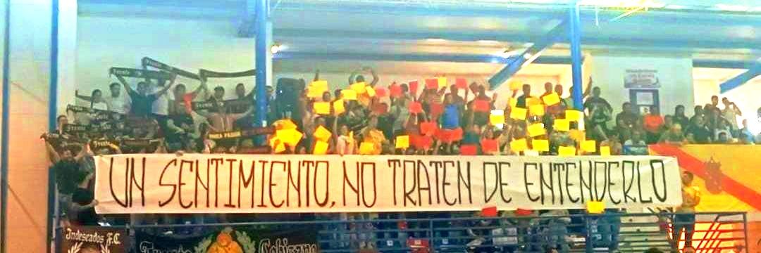 Cobisa Futsal banner
