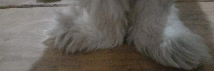 Over banner