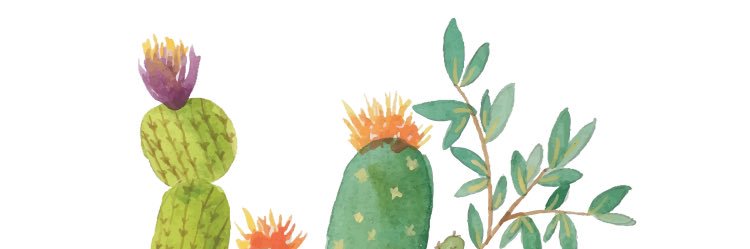 terranwilliams's profile banner image