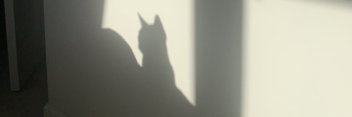 alicia banner