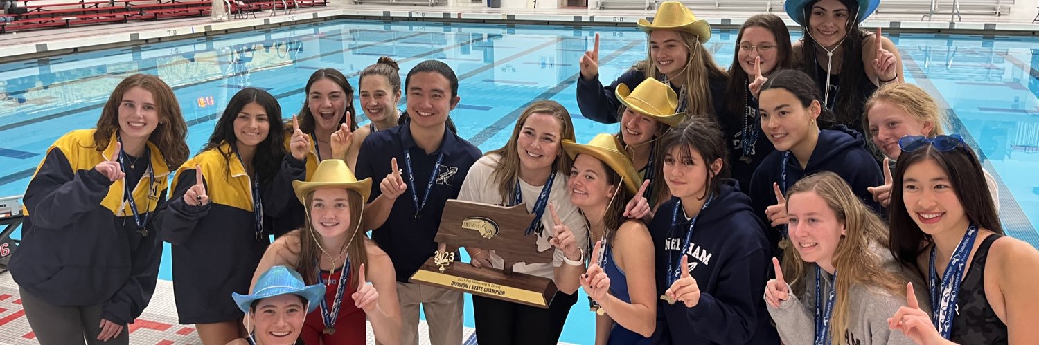 Needham HS Athletics banner