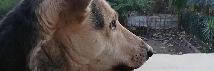 Itsyourkhan's profile banner image