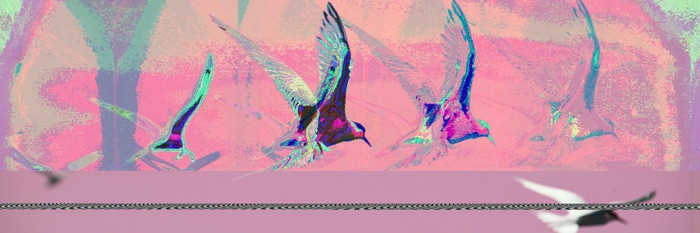 thmsbrns's profile banner image
