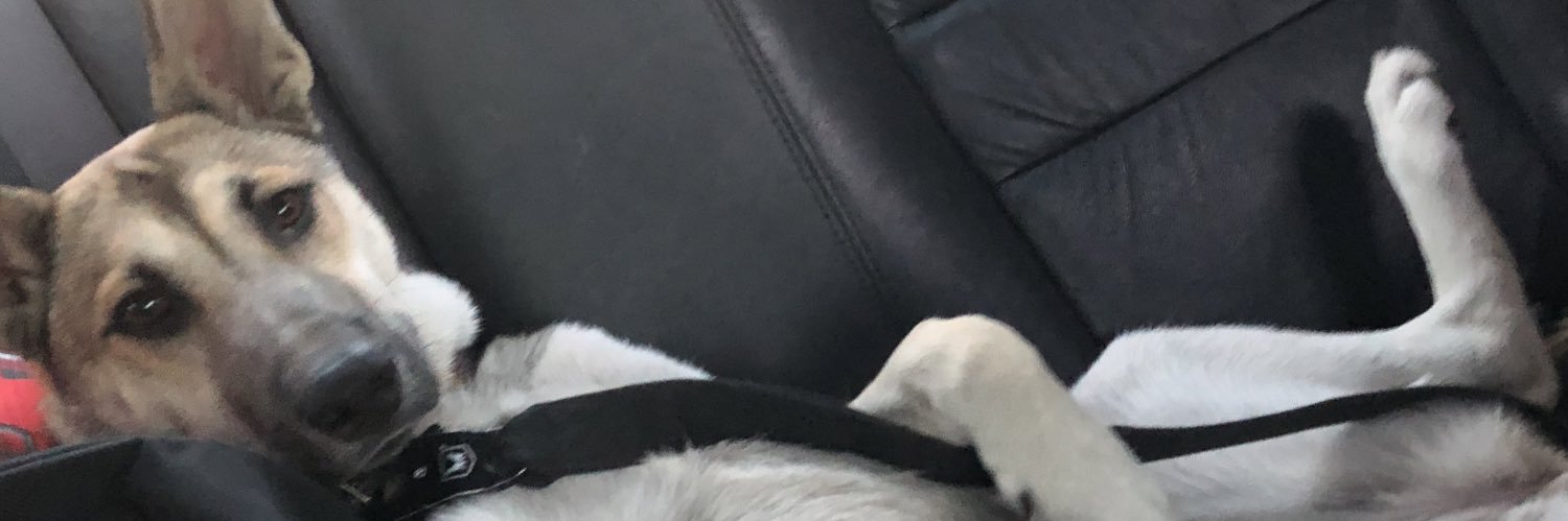 CaidGetsLaid's profile banner image