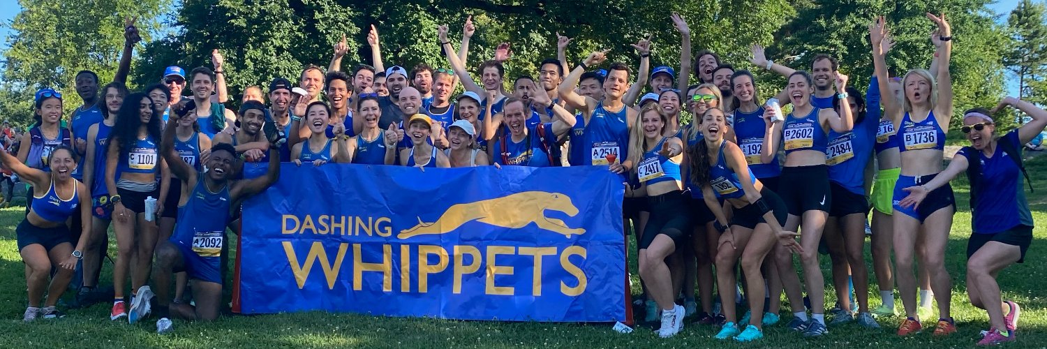 Dashing Whippets Running Team's banner